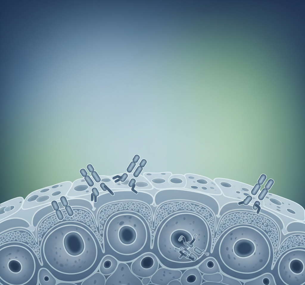 Антитела к бокаловидным клеткам кишечника