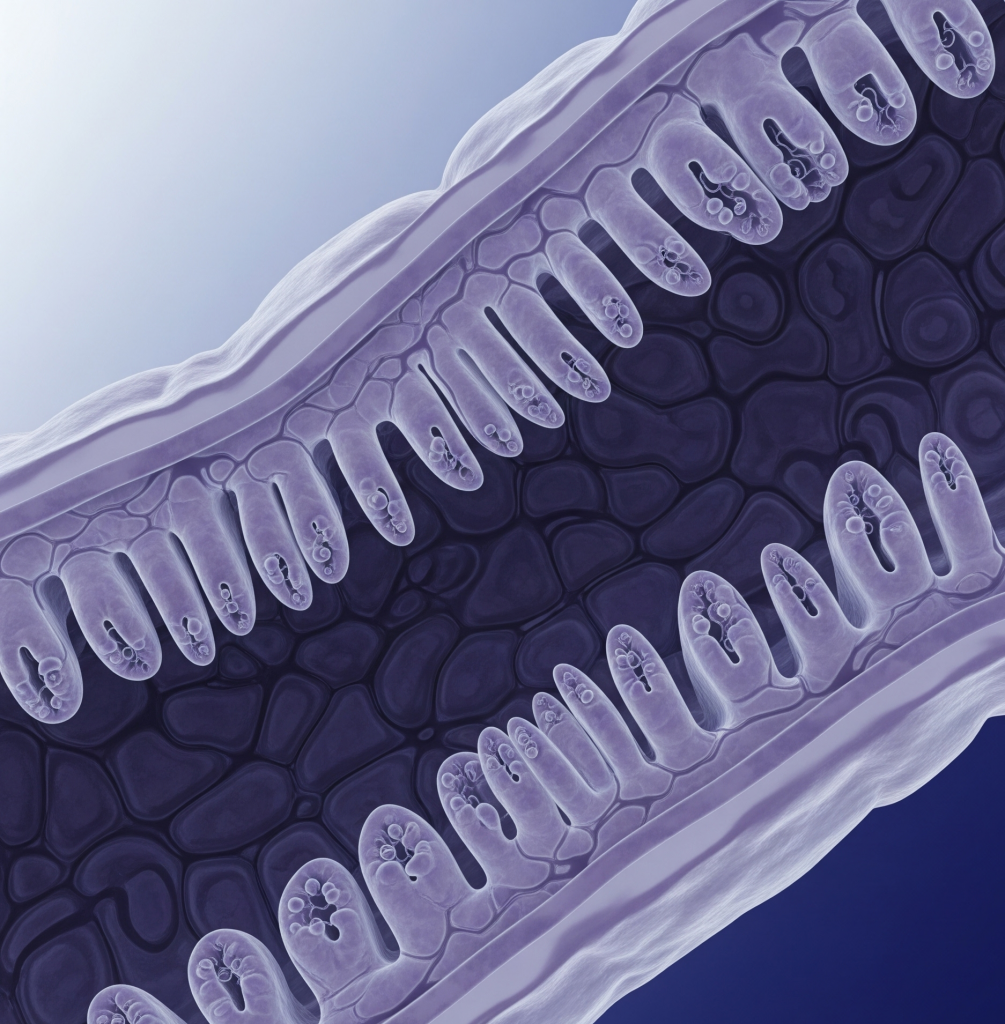 Концентрация альфа 1-антитрипсин в стуле
