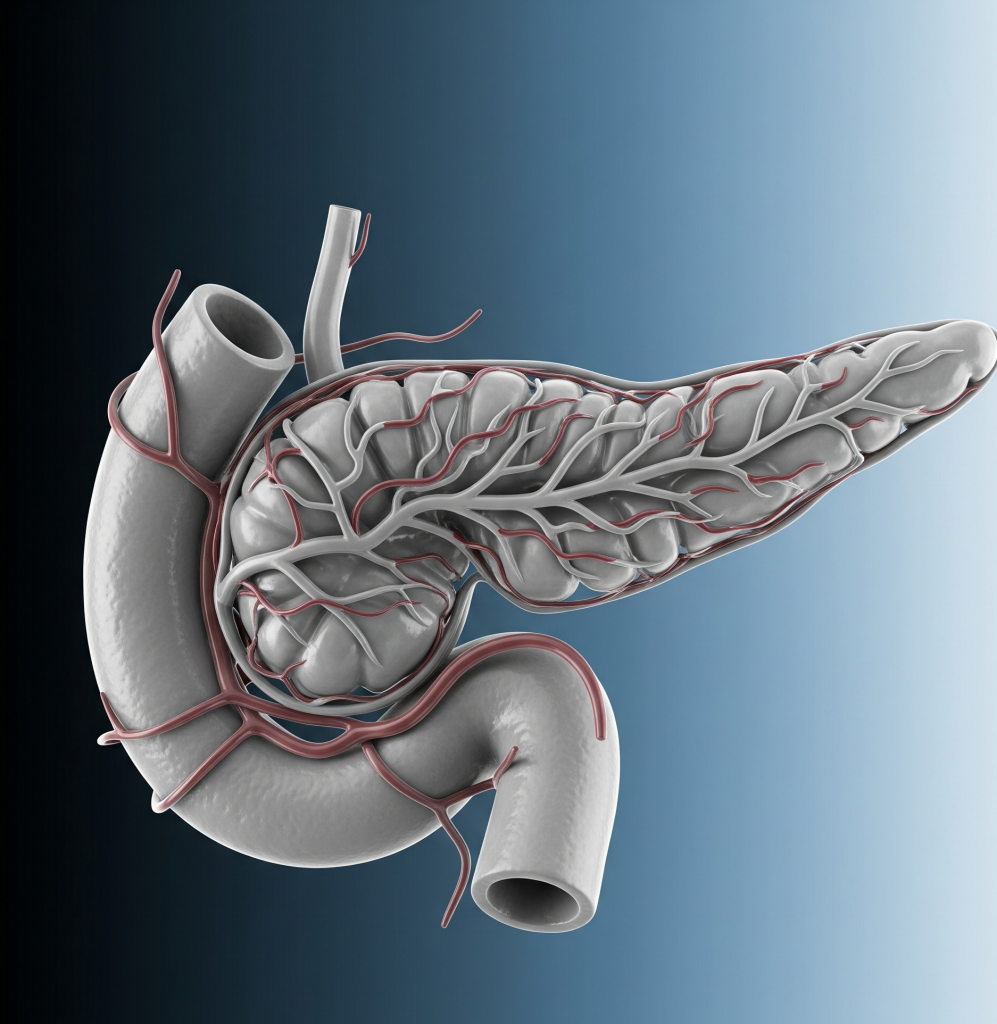 Антитела к экзокринной части поджелудочной железы (АПЖ)