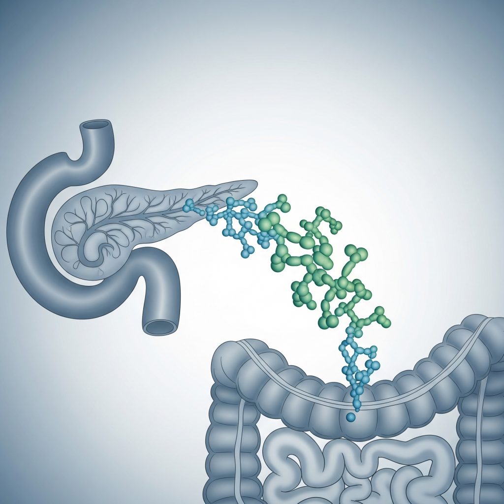 Исследование панкреатической эластазы в кале