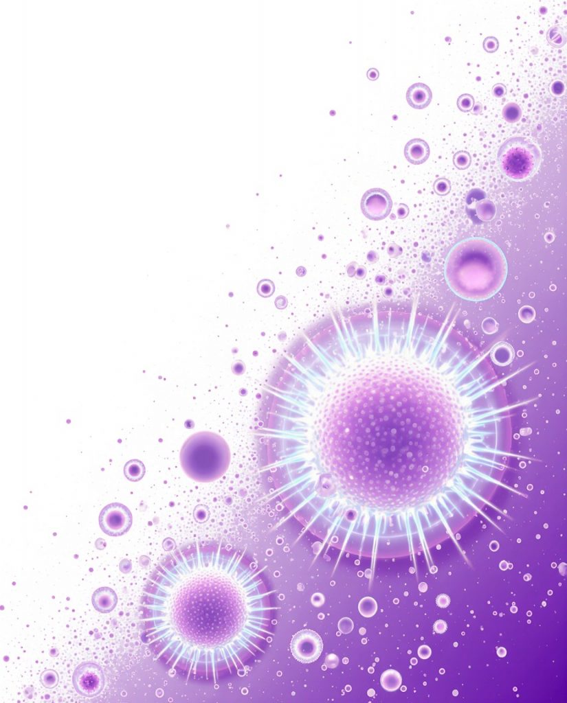 Детекция ДНК Salmonella