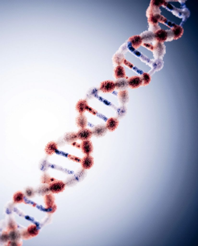 Детекция ДНК Yersinia enterocolitica