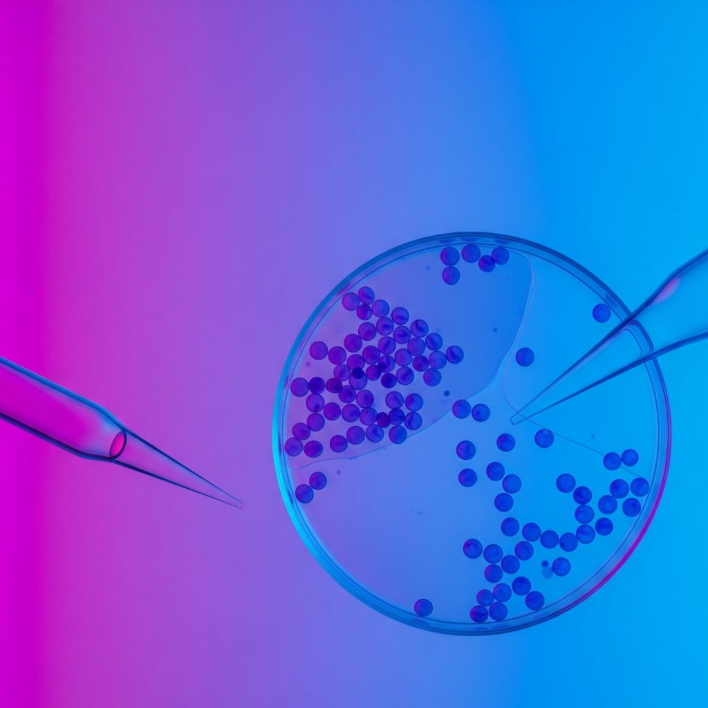 Диагностика хеликобактериоза (деткция антигенов Helicobacter pylori)