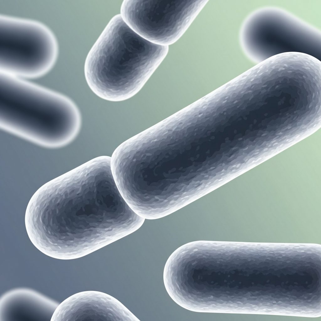 Диагностика шигеллеза, дизентерии (Shigella flexneri 1-5, Shigella sonnei)