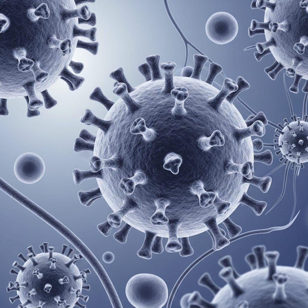 Диагностика ветряной оспы (антитела IgM к вирусу Varicella Zoster)