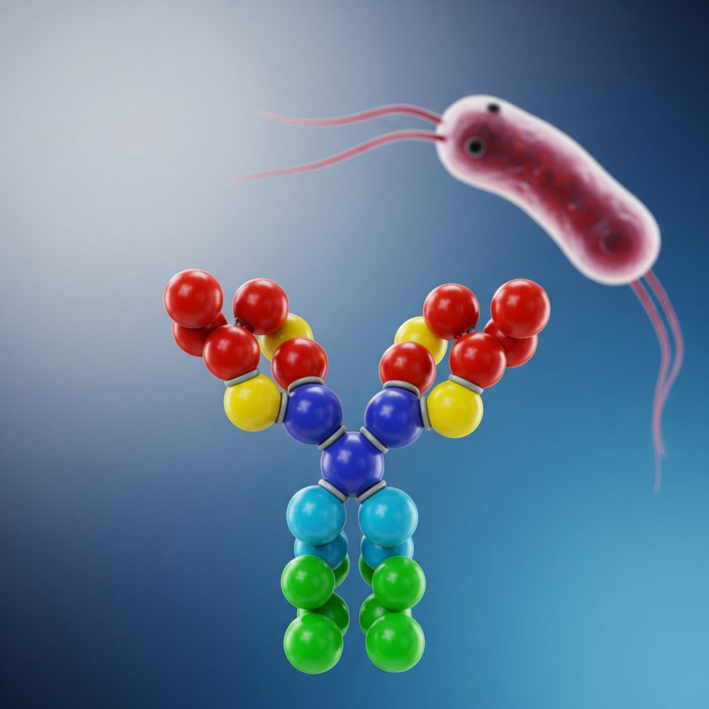 Диагностика вируса простого герпеса 1/2 типа (антитела IgM к вирусу герпеса 1/2 типа)