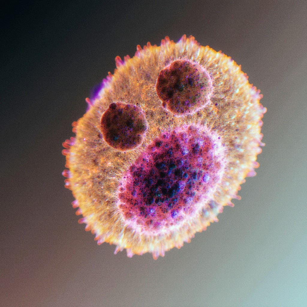 Холестерол общий