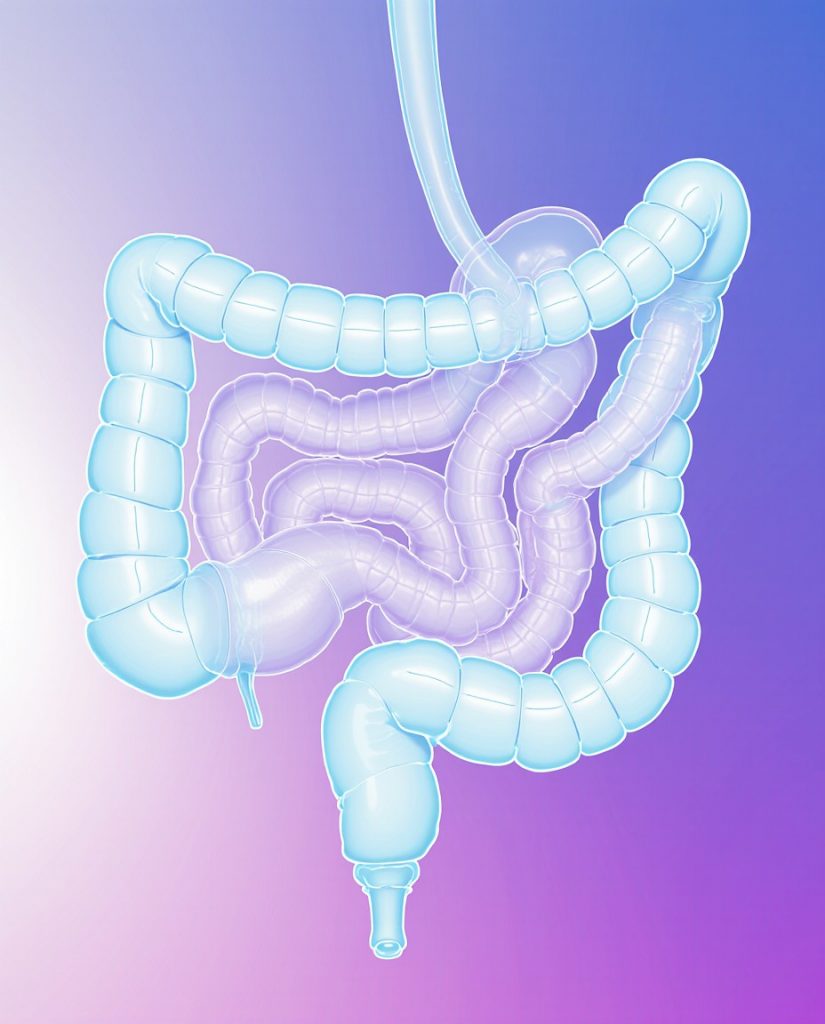 Посев кала на условно-патогенную флору с определением чувствительности к антибиотикам