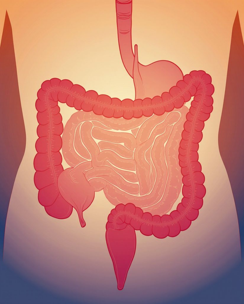 Скрининг на острые кишечные инфекции