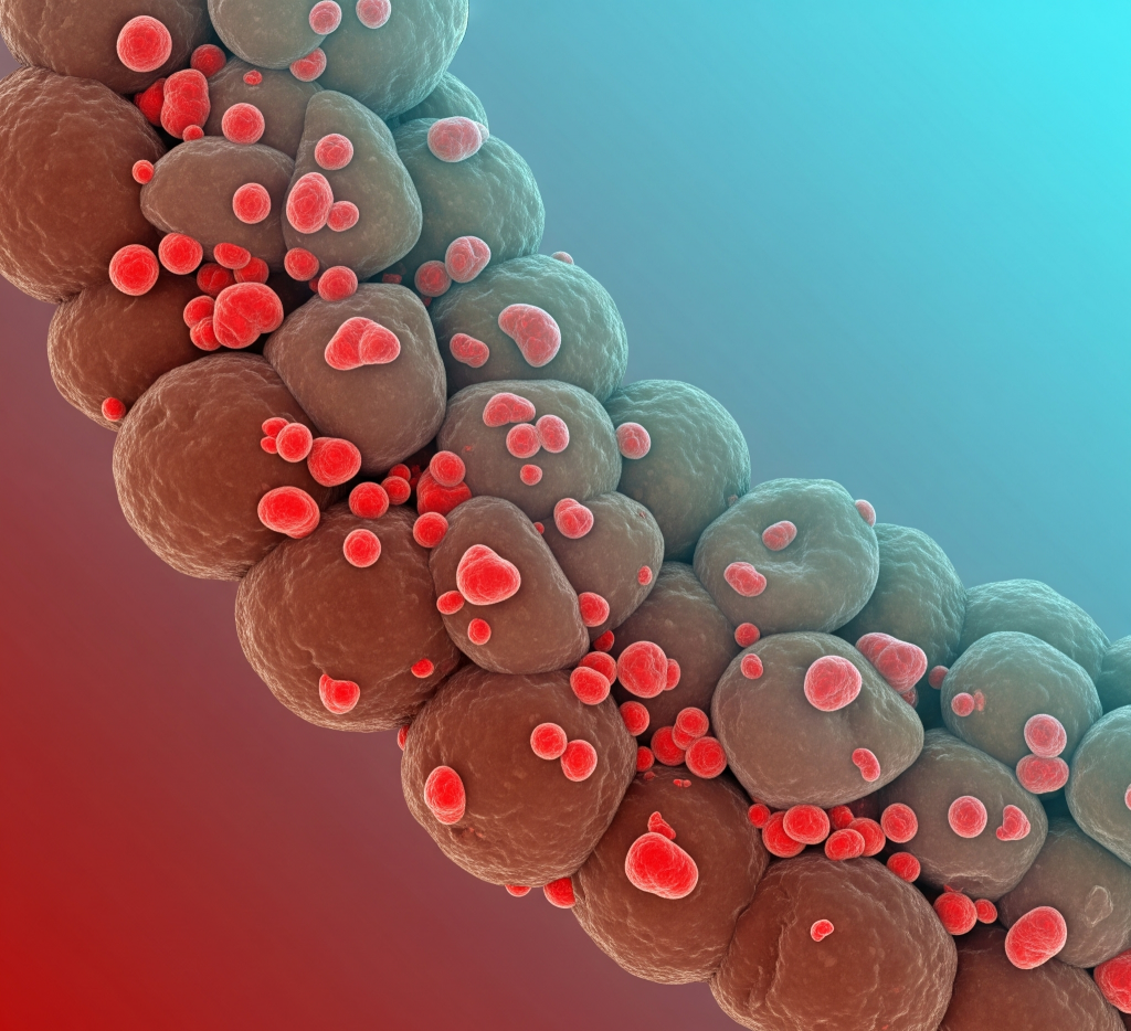 Анализ кала на скрытую кровь (проба Грегерсена)