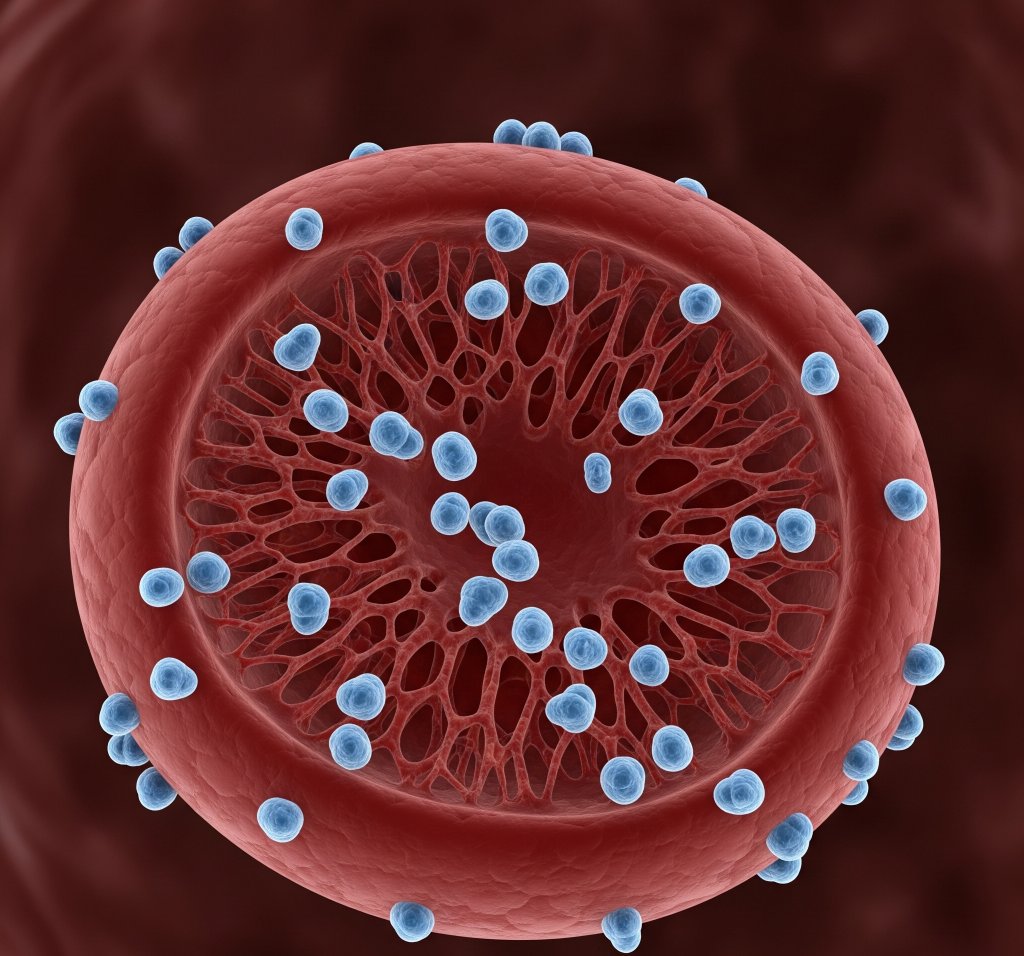 Гликированный гемоглобин (HbA 1c)