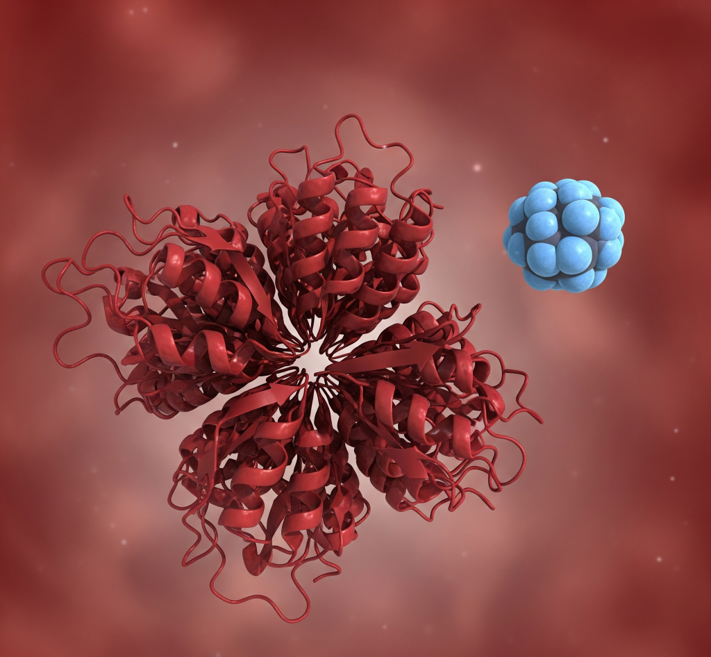 Концентрация гамма-глютамилтранспептидазы (гамма-ГТ)